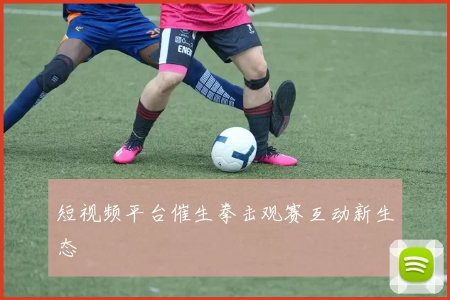 短视频平台催生拳击观赛互动新生态
