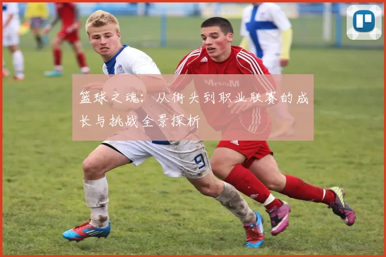 篮球之魂：从街头到职业联赛的成长与挑战全景探析
