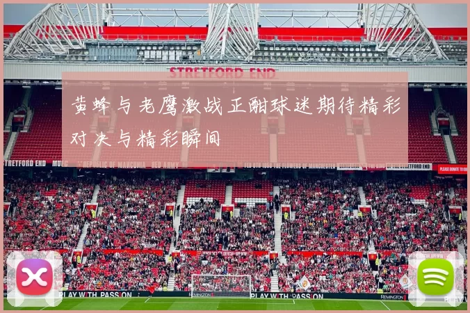 黄蜂与老鹰激战正酣球迷期待精彩对决与精彩瞬间