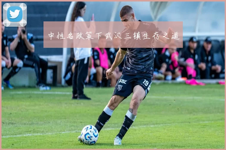 中性名政策下武汉三镇生存之道
