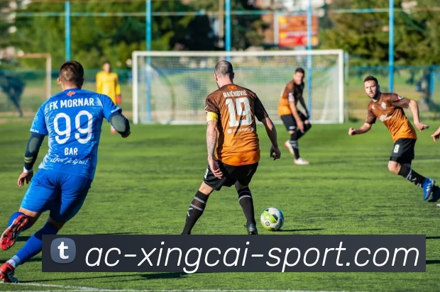 杏彩官网服务体系